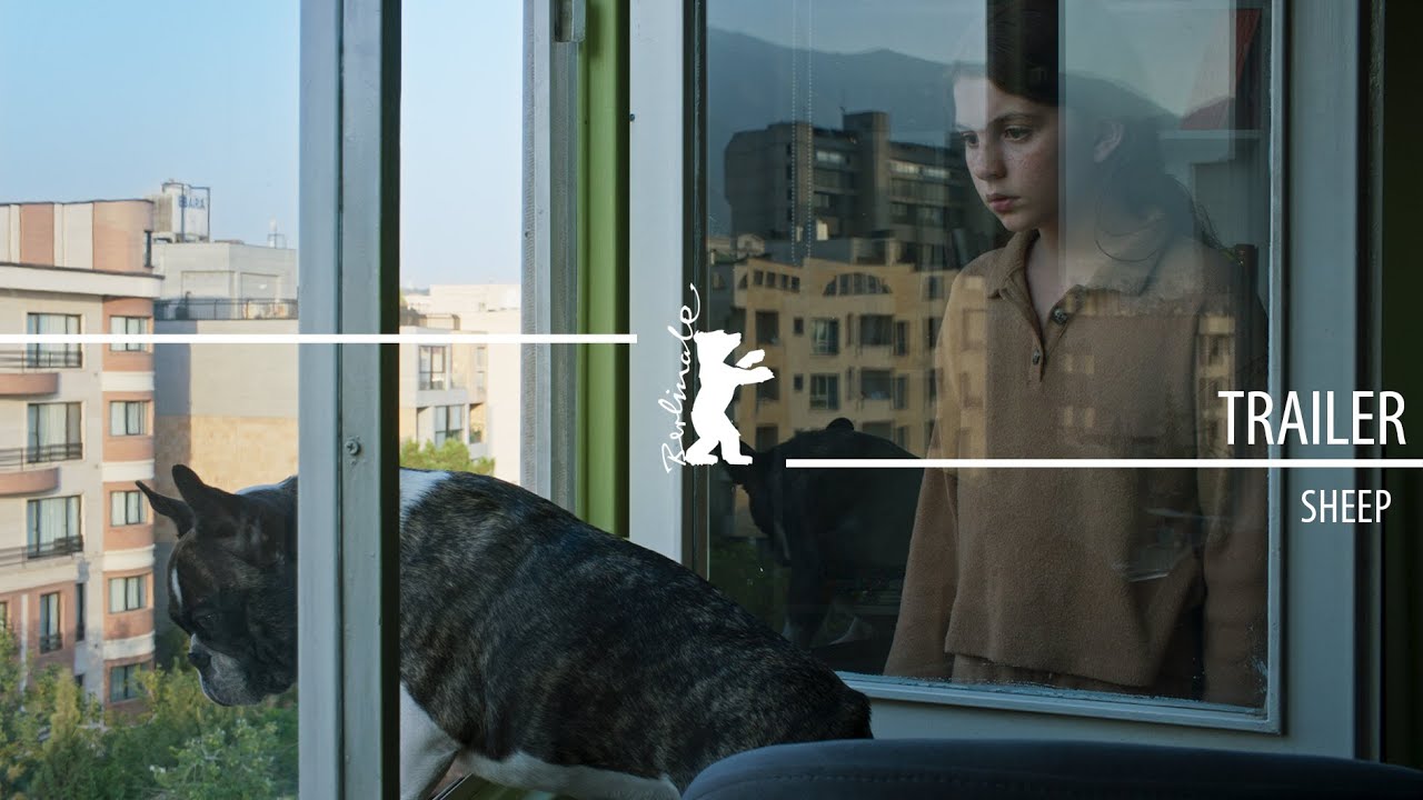 Z9oLdAIGg-E.jpg